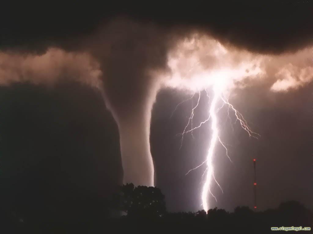 Foto de 10 curiosidades científicas
