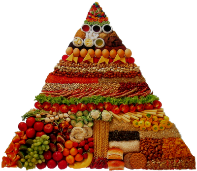 Foto de Alimentação Sustentável – Documentário