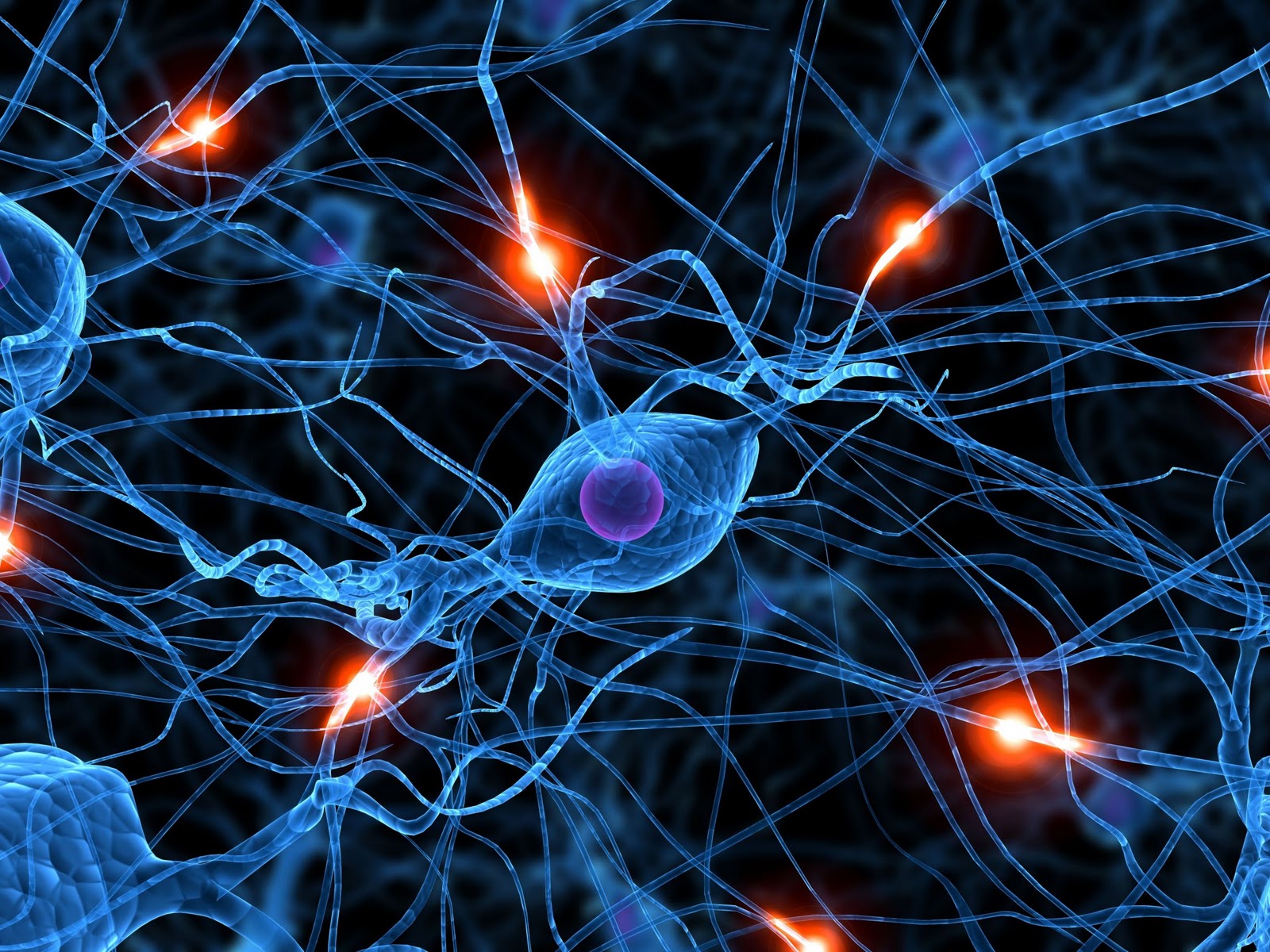 Foto de 5 Sites que Vão te deixar mais inteligente