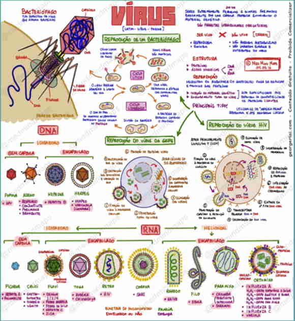 resumo sobre vírus