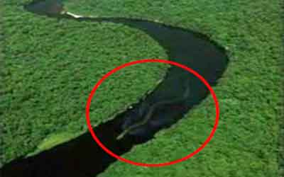 Foto de A lenda da cobra grande da Amazônia