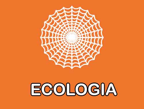 Questionário Simulado Ecologia questões