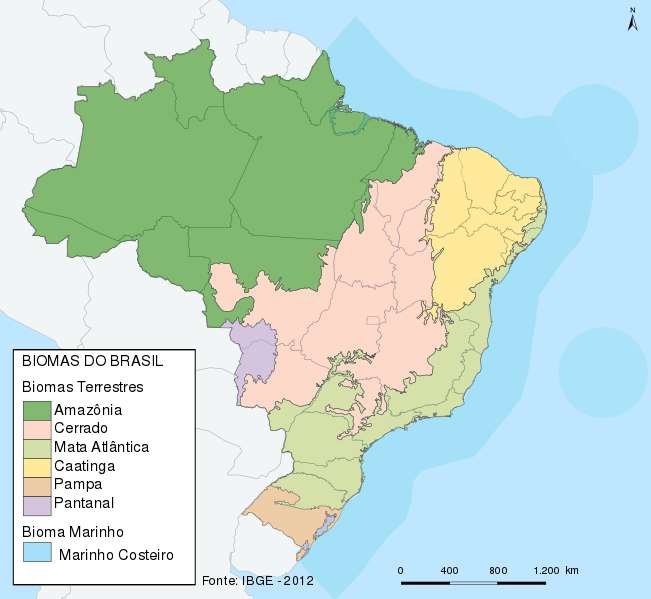 Foto de Os principais domínios morfoclimáticos do Brasil
