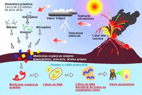 hipótese heterotrofica