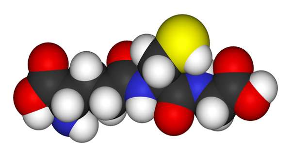 Antioxidante: o que são, alimentos ricos em antioxidantes