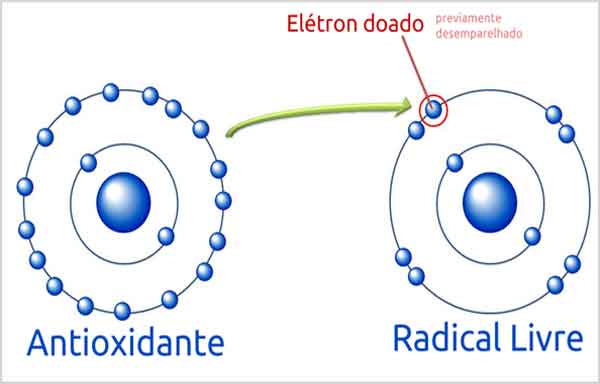 Antioxidante - o que são, alimentos ricos em antioxidantes