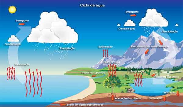 Foto de Ciclos Biogeoquímicos: resumo, o que são, quais são