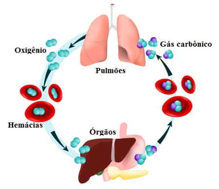 hematose pulmonar troca gasosa