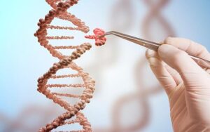 Técnicas de manipulação de DNA e de marcação por radioisótopos