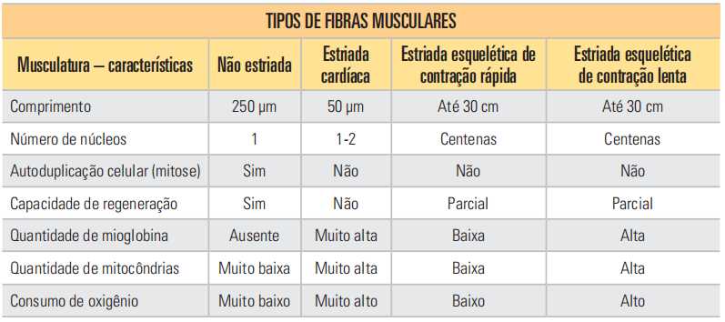 Tabela comparativa fibras musculares