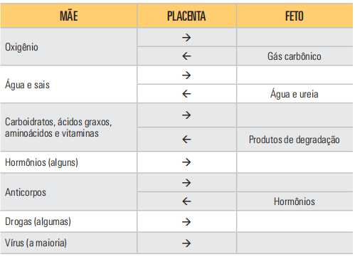 Fluxo de substâncias trocadas entre o feto e a mãe através da placenta.