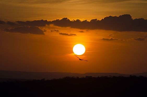 Entendendo biomas - por do sol