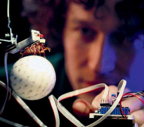 Cientista realizando experimento com uma barata
